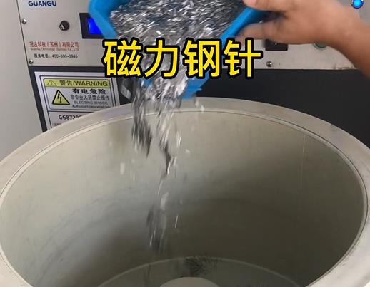 宁明不锈钢箍用钢针